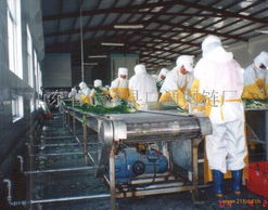 挑选机网带 广通网链与信息咨询服务解析