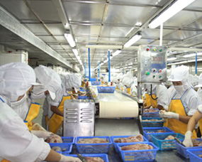 浙江省某海产品加工厂项目可行性研究报告